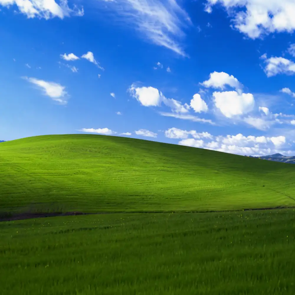 windows xp wallpaper