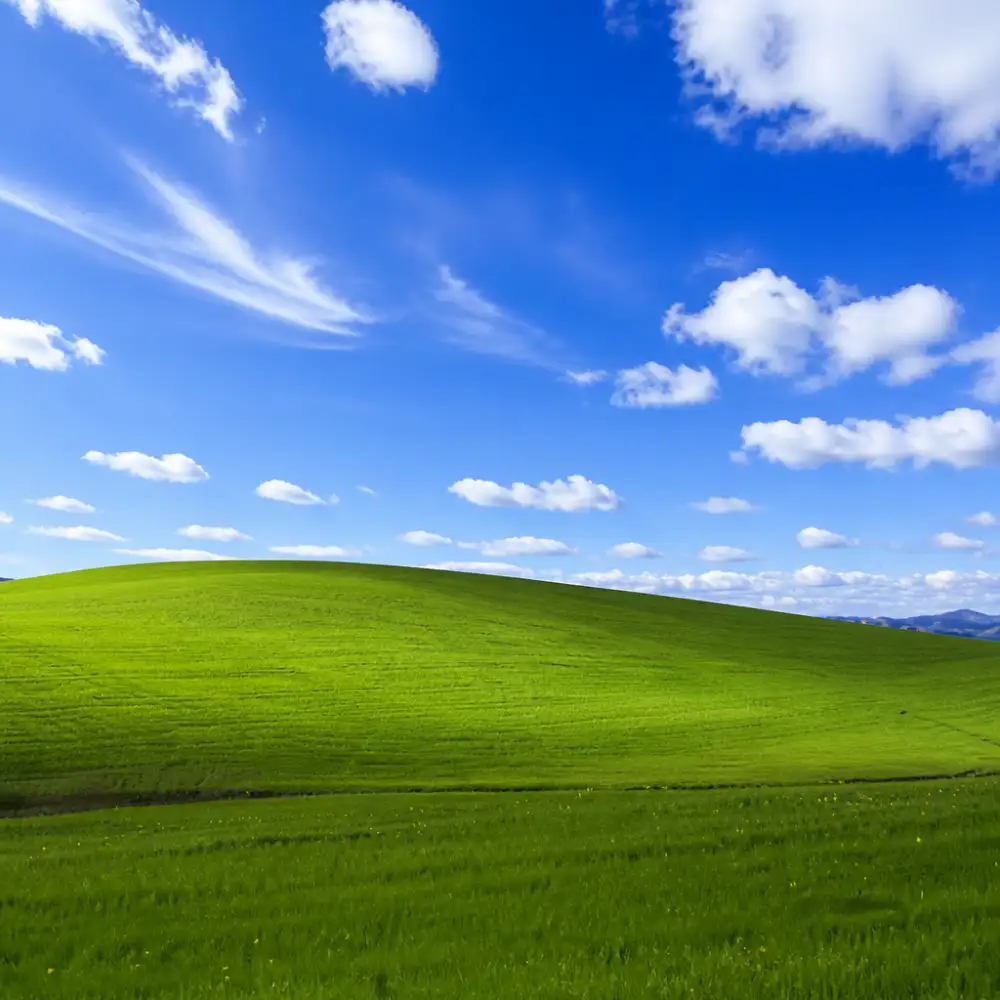 windows xp wallpaper