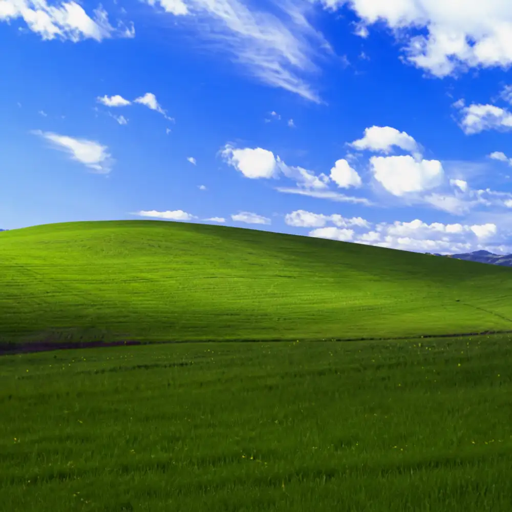 windows xp wallpaper