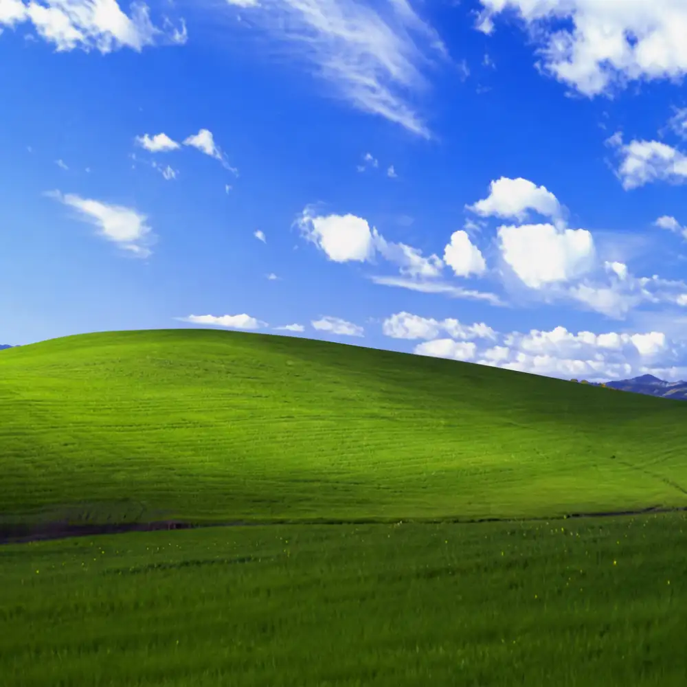 windows xp wallpaper