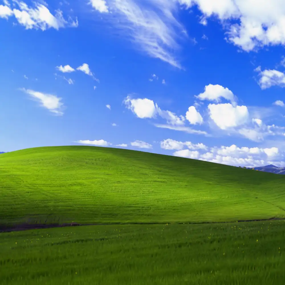 windows xp wallpaper
